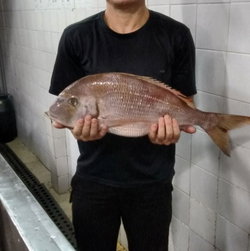 Joao