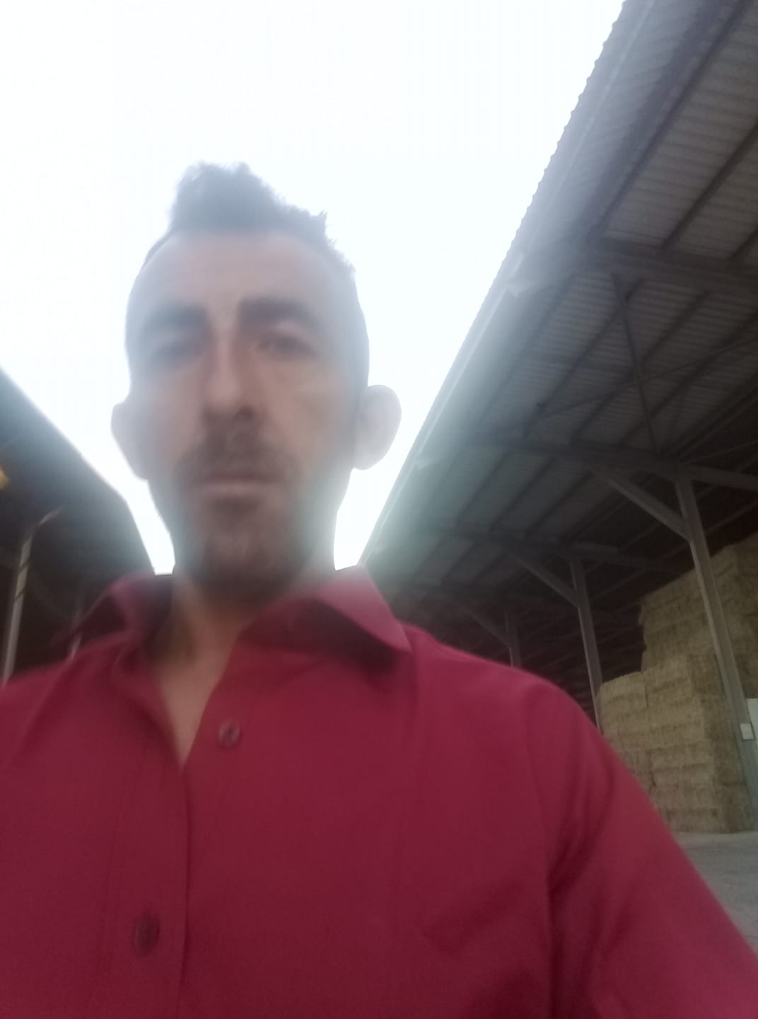 Şölen