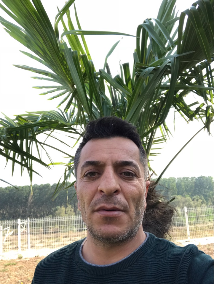 Murat