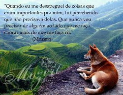 Lucia