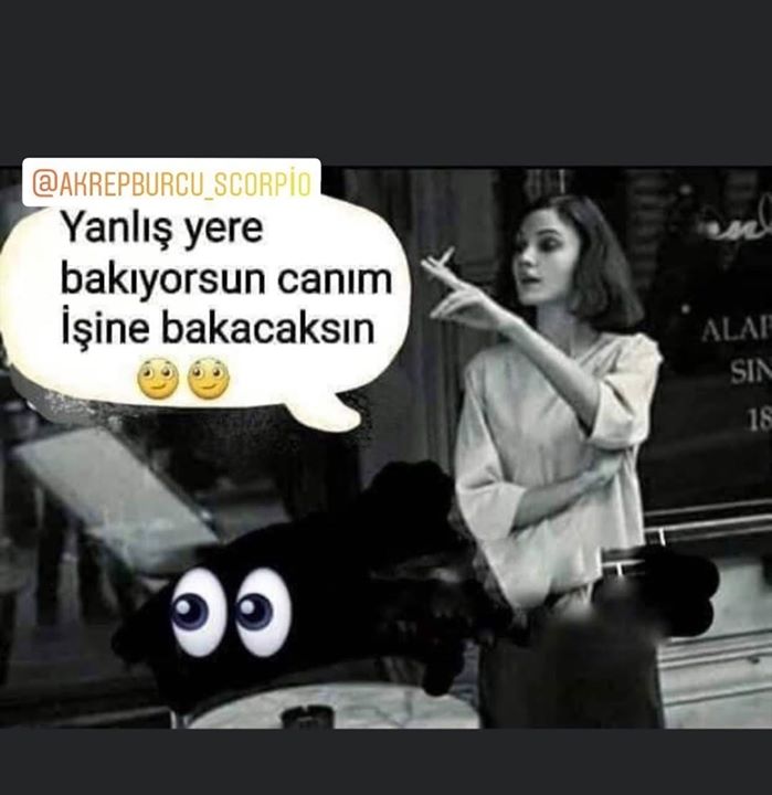 Selin