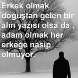 Avni