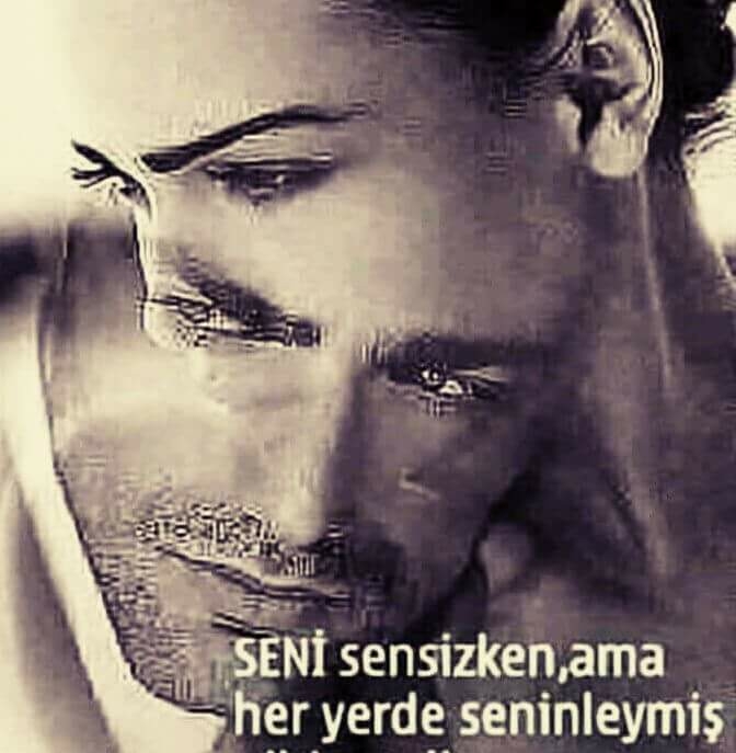 Şahin