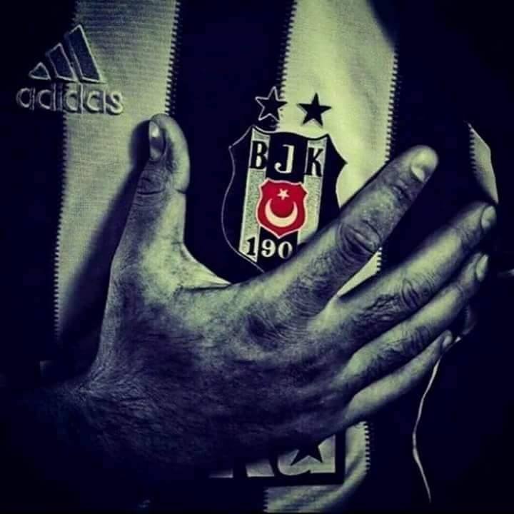 Hanyerililer