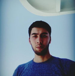 Birol