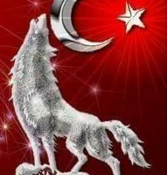 Ebubekir
