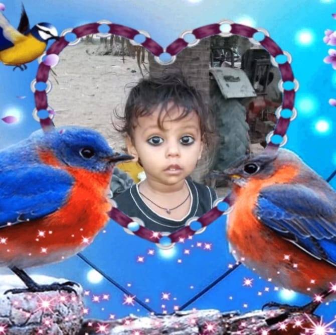 Vinod