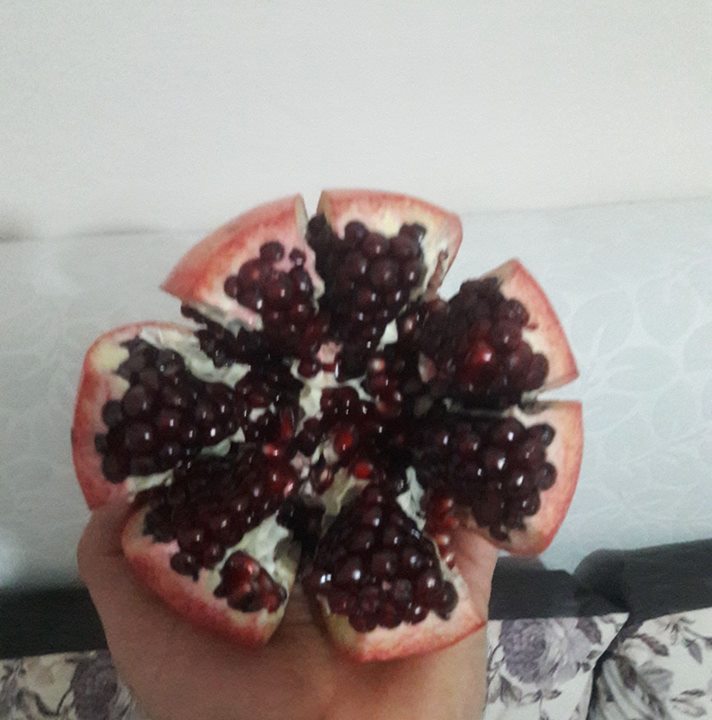 Tolga
