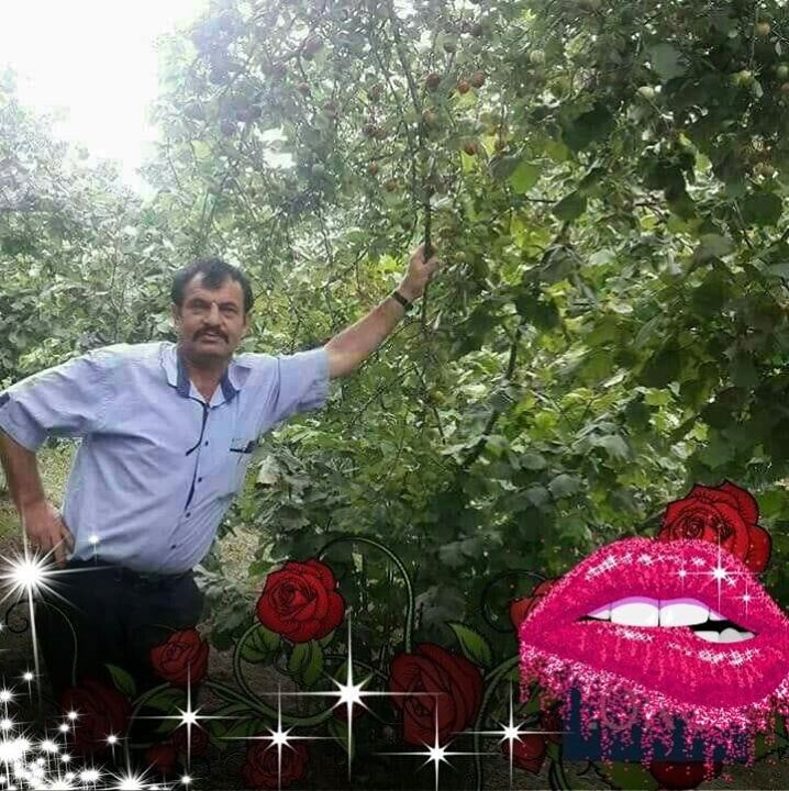 Remzi