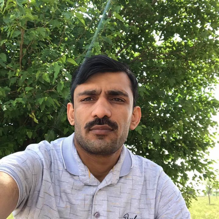 Anil