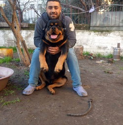 Uğur