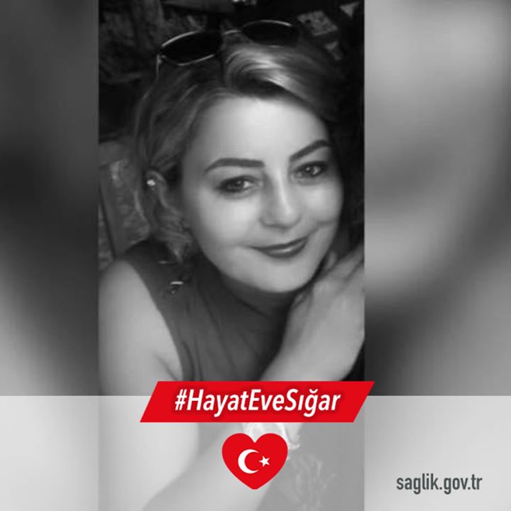 Sibel