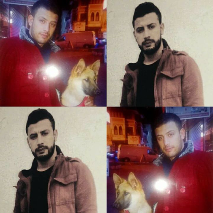 Yiğit