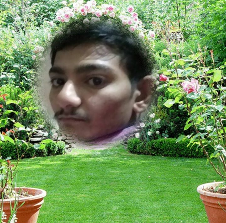 Ravi