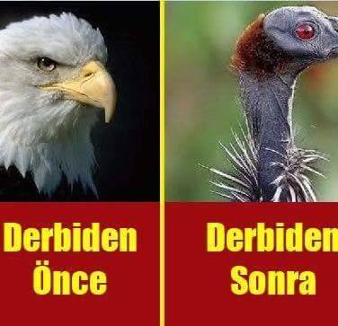 Sedat