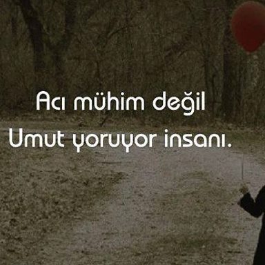 Merve