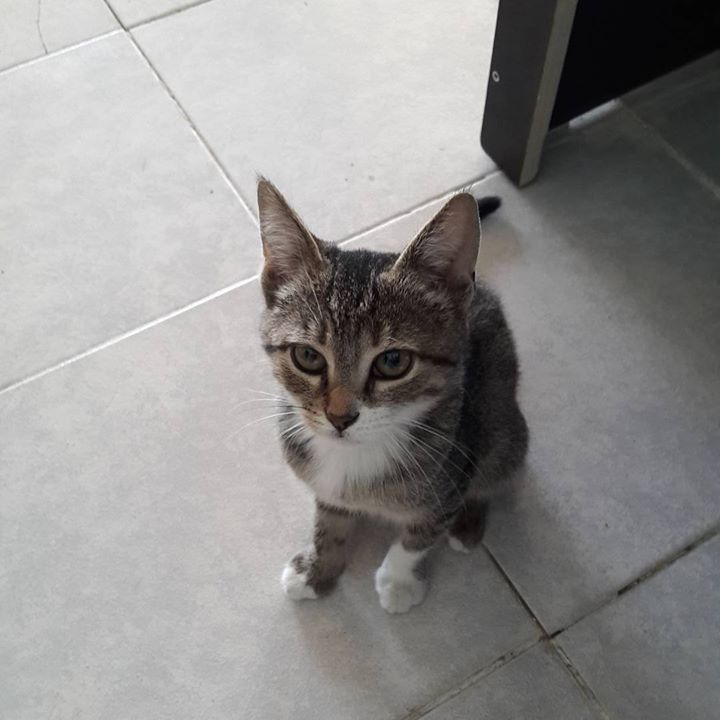Hüseyin