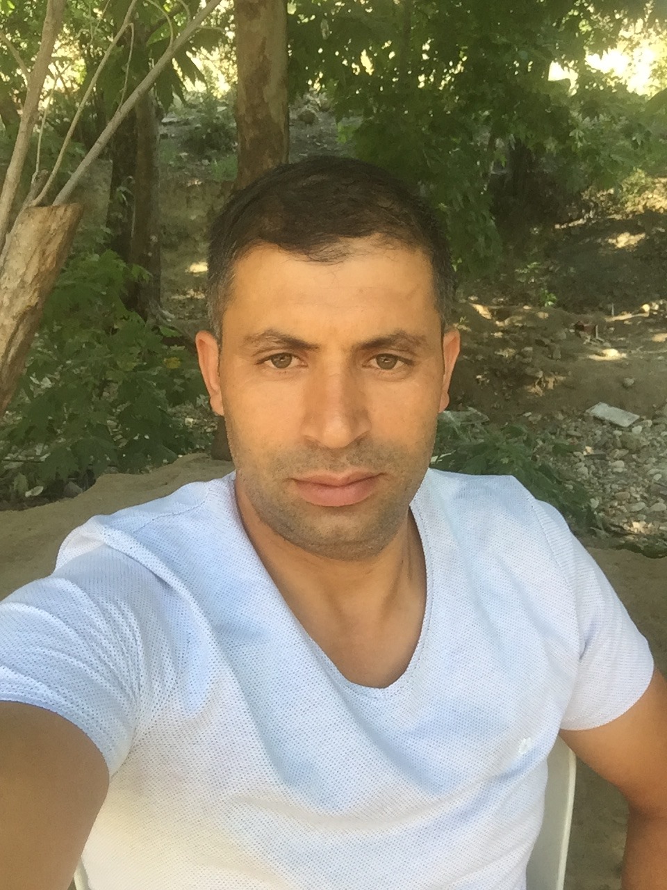 Harun