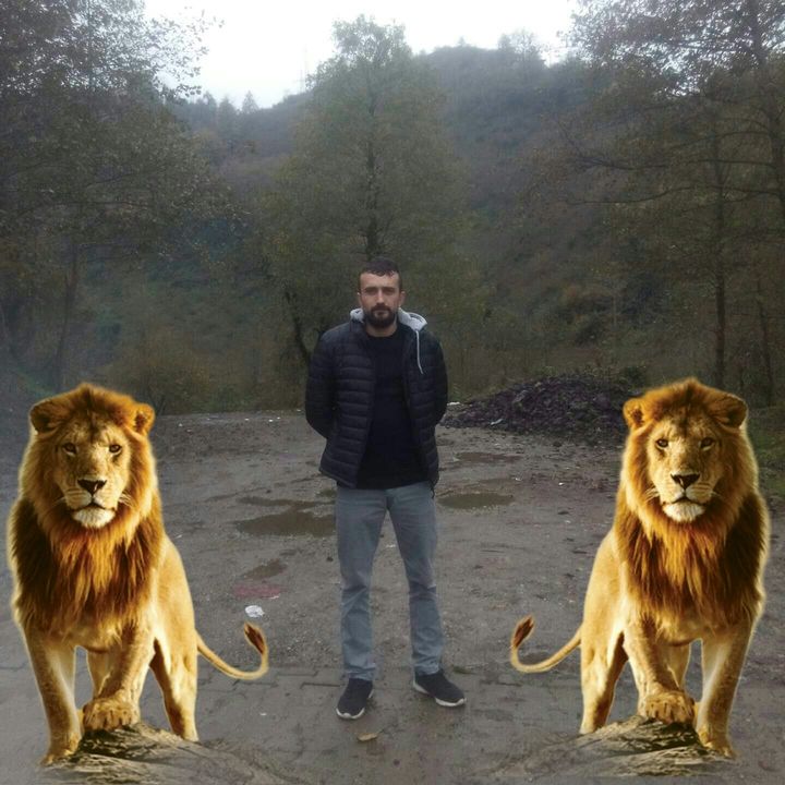 Vedat