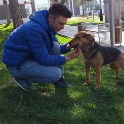 Onur