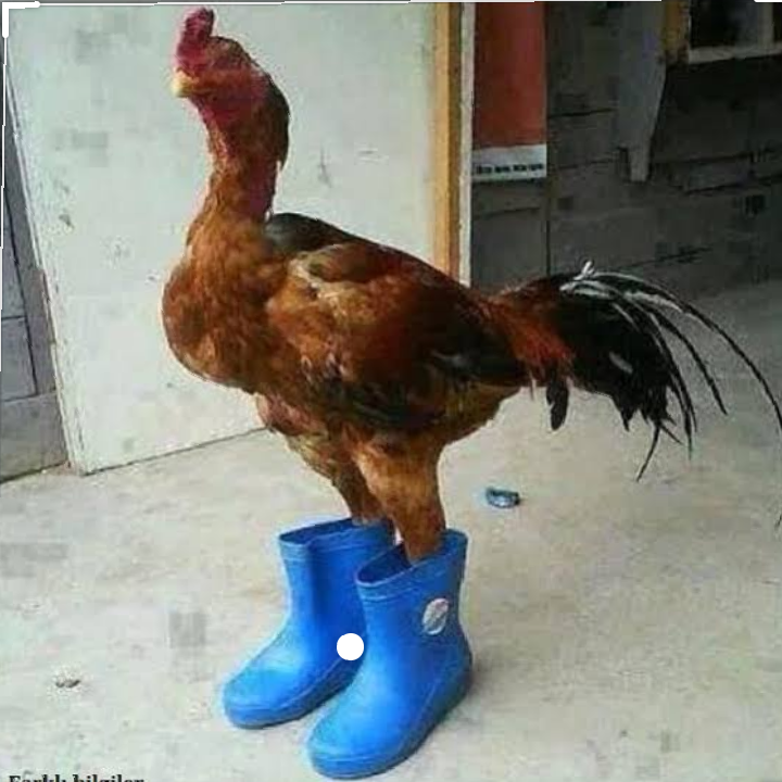Yağız