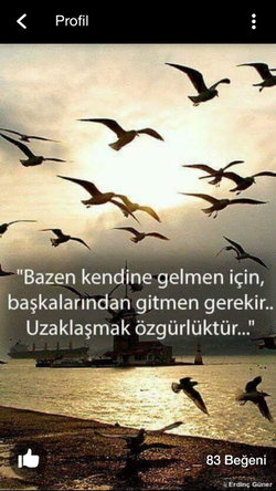 Ayse