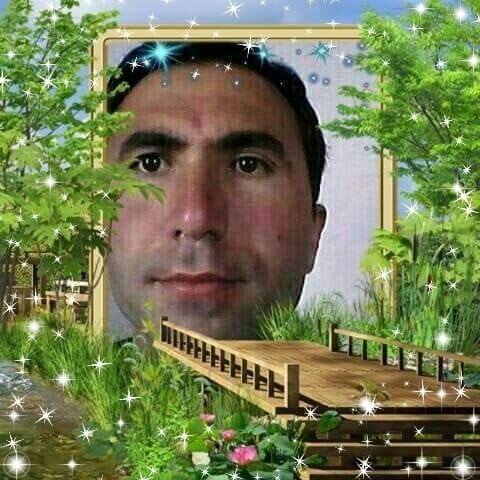 Ali