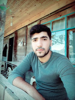 Şahin