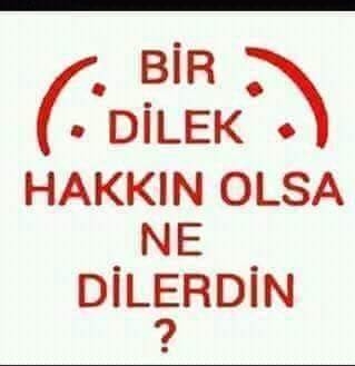 Mete