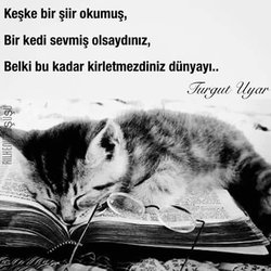 Yasemin