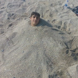Vedat
