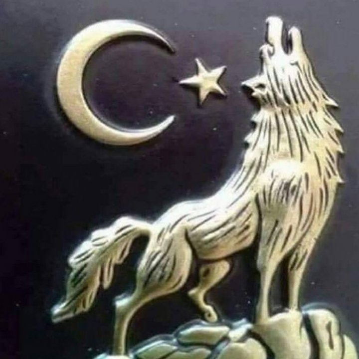 Nejmi