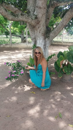 Rosinete
