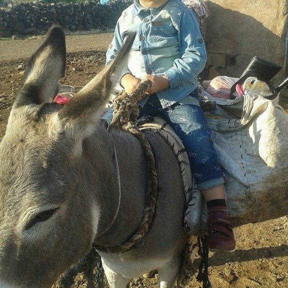 Abdurrahman