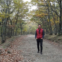 Şahin