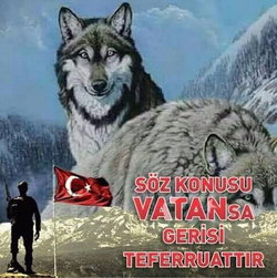 Islak