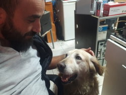 Gökhan