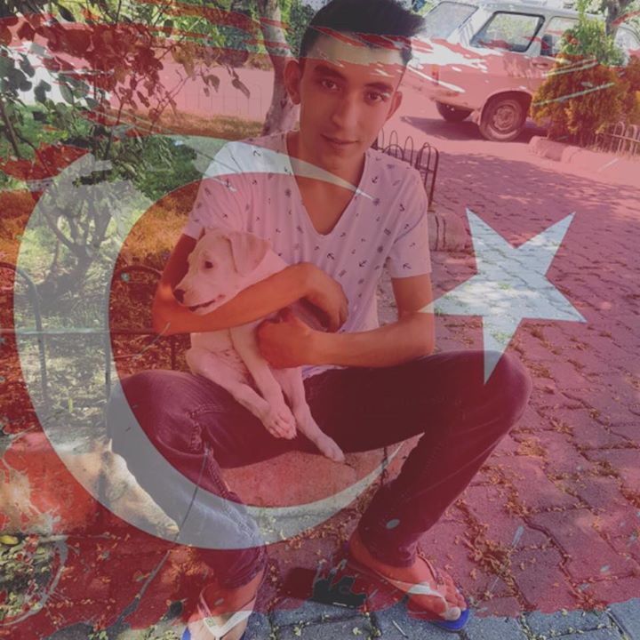 Halil