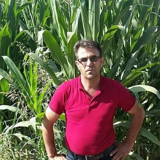 Murat