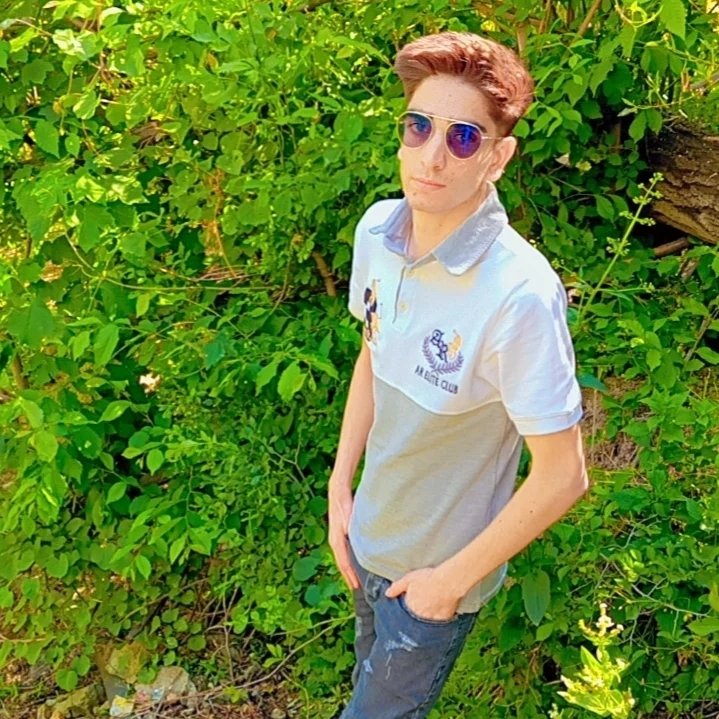 Hasib