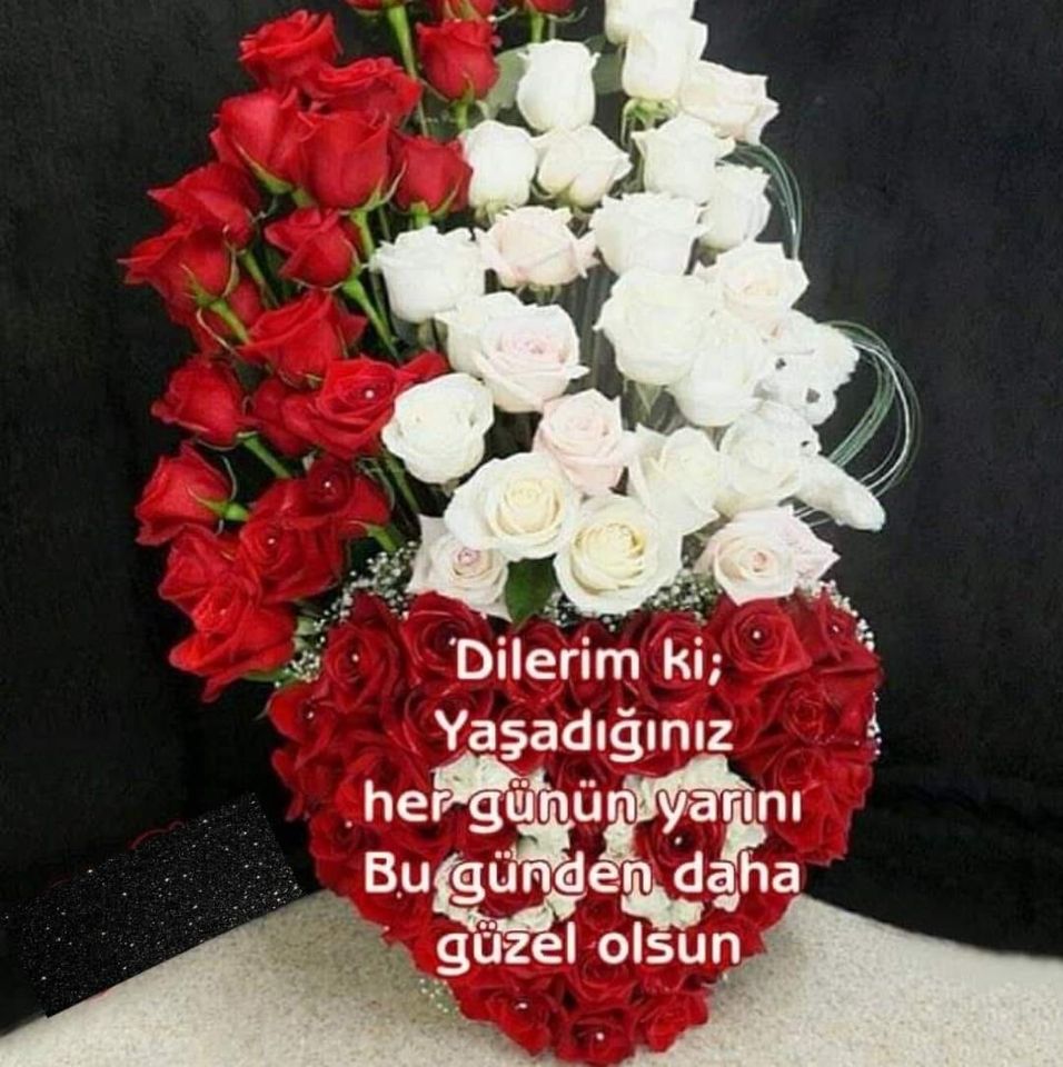 Zul