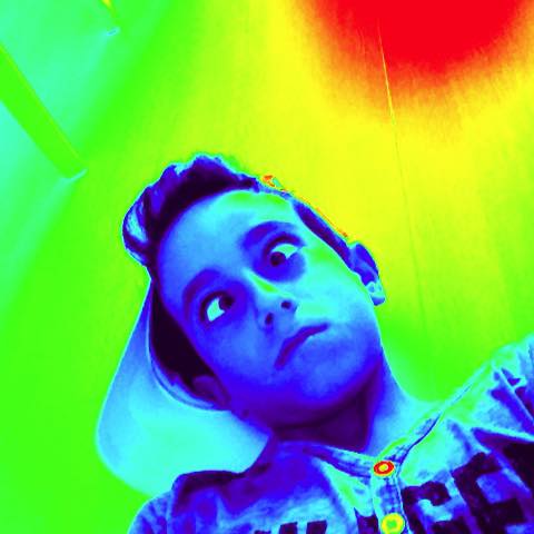 Ege
