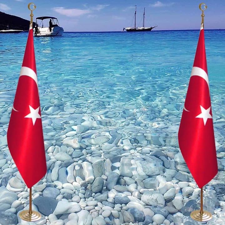 Papatya