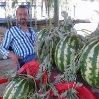 Gürol