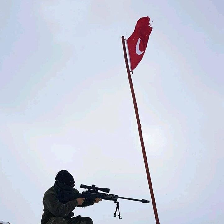 Doğan