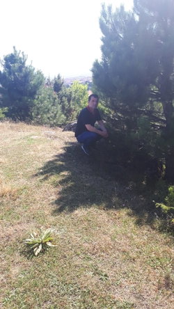 Servet
