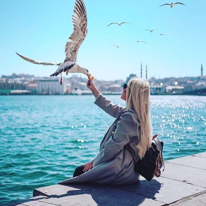 Ayse
