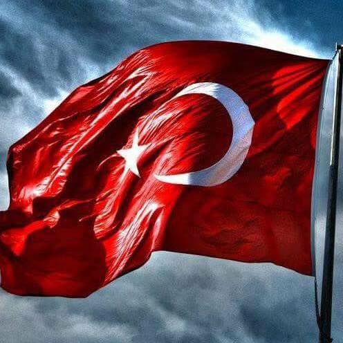 Veysel