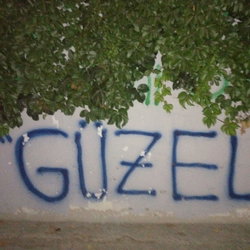 Aydın