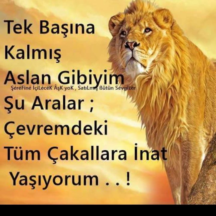 Yasemin
